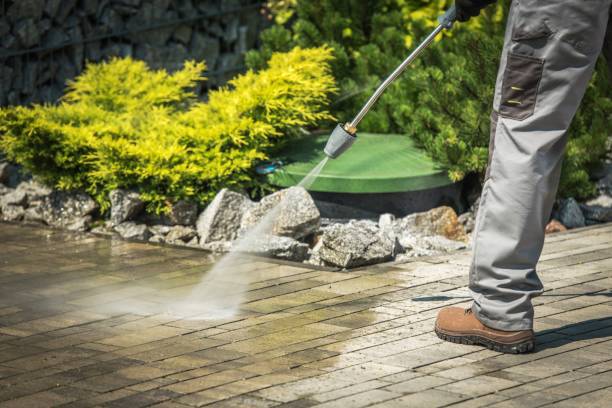Boat and Dock Cleaning in Chippewa Falls, WI