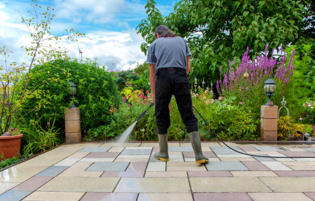 Best Sidewalk and Walkway Cleaning  in Chippewa Falls, WI